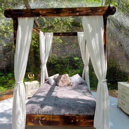 La Cabane Secrete Matane Zewnętrze zdjęcie