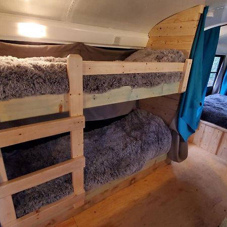 La Cabane Secrete Matane Zewnętrze zdjęcie