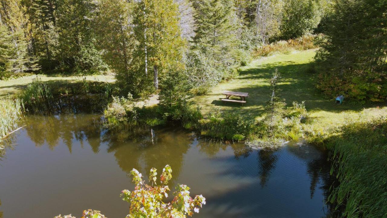 La Cabane Secrete Matane Zewnętrze zdjęcie