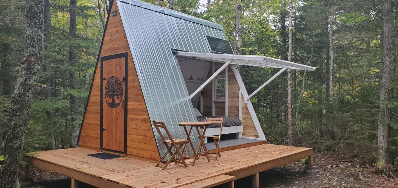 La Cabane Secrete Matane Zewnętrze zdjęcie