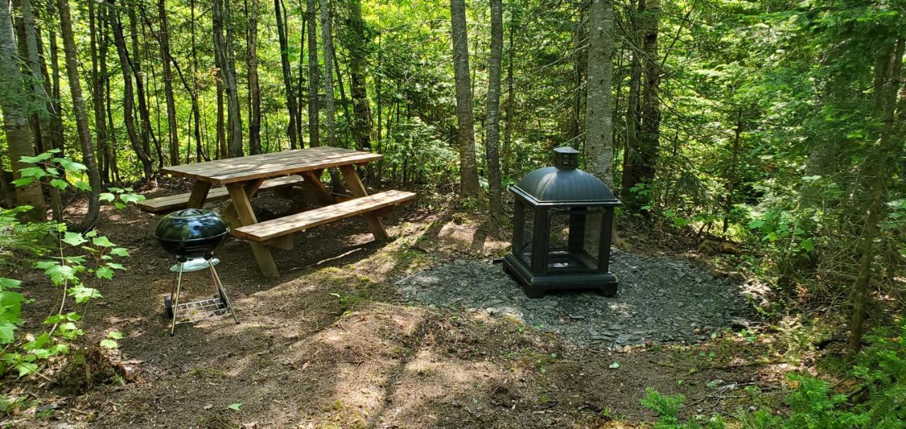 La Cabane Secrete Matane Zewnętrze zdjęcie